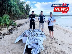 Polres Pesisir Barat Ungkap Kasus Penyelundupan Benih Lobster, Perkara Naik Sidik, Pelaku Lain Masih Dikejar