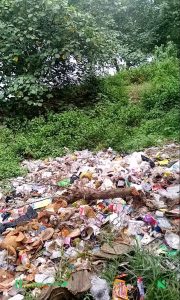 Desa Cidamar  Kecamatan Cidaun Cianjur Darurat Sampah Dinas Terkait Seakan Tutup Mata