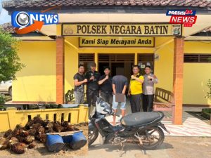 Curi 76 Tandan Sawit, Diduga Pelaku Diringkus Polsek Negara Batin