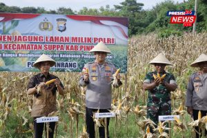 Polres Pinrang Panen Jagung, Dukung Swasembada Pangan Nasional