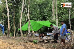 Reaksi Cepat tanggapi Laporan Masyarakat : Unit Reskrim Polsek Sepauk Bongkar Arena Judi Sabung Ayam Di Desa Sekubang