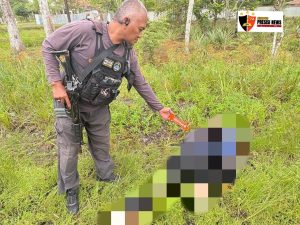 Satgas Ops Damai Cartenz Dalami Kasus Pembunuhan Warga Sipil Di Dekai, Yahukimo, Diduga Dilakukan KKB