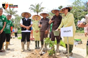 Wujudkan Astacita Presiden Kajati Lampung Bersama Bupati Lambar Tanam Padi Bersama Warga